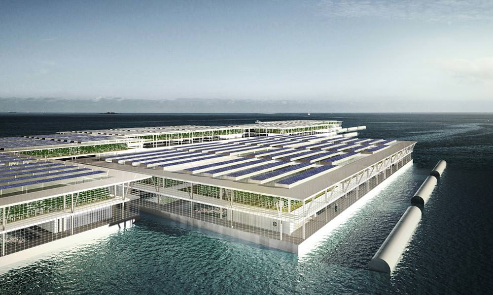 Dünyada ilk: 'yüzen çiftlikler' Hollanda'da kuruluyor