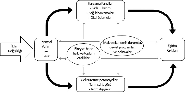 İklim değişikliği eğitim erişimini nasıl sınırlar?
