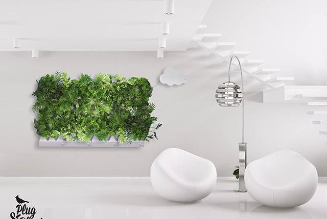 Artık Salonunuzun Duvarında Bitki Yetiştirebilmeniz Mümkün