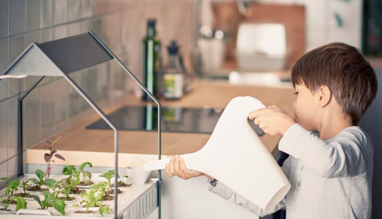 Topraksız Tarım İle Kentlerde Yaşayanlarda Çiftçilik Yapabilir