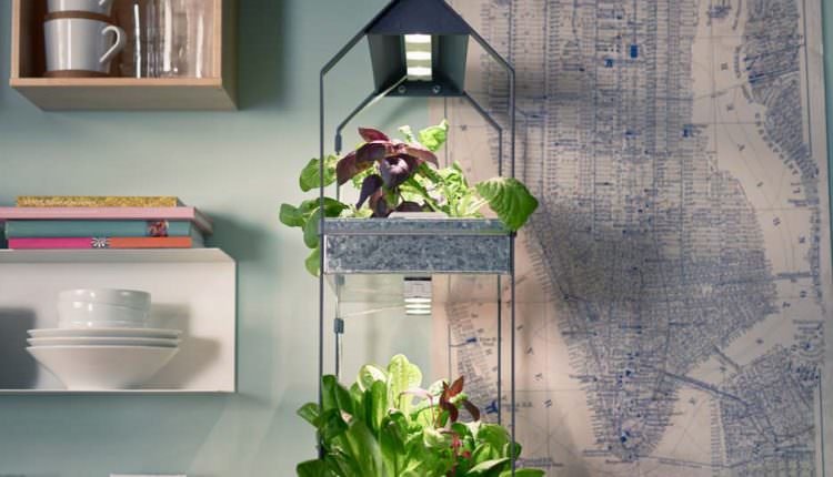 Topraksız Tarım İle Kentlerde Yaşayanlarda Çiftçilik Yapabilir