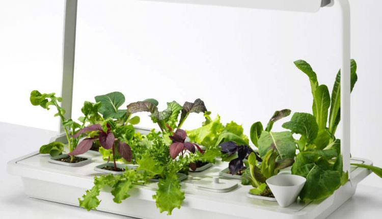 Topraksız Tarım İle Kentlerde Yaşayanlarda Çiftçilik Yapabilir