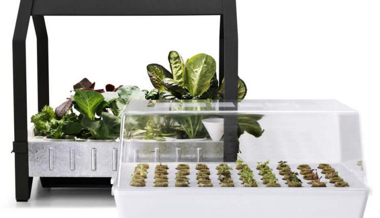 Topraksız Tarım İle Kentlerde Yaşayanlarda Çiftçilik Yapabilir