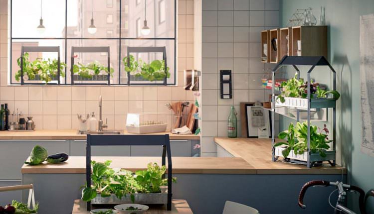 Topraksız Tarım İle Kentlerde Yaşayanlarda Çiftçilik Yapabilir