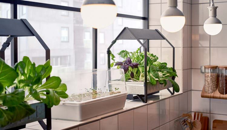 Topraksız Tarım İle Kentlerde Yaşayanlarda Çiftçilik Yapabilir