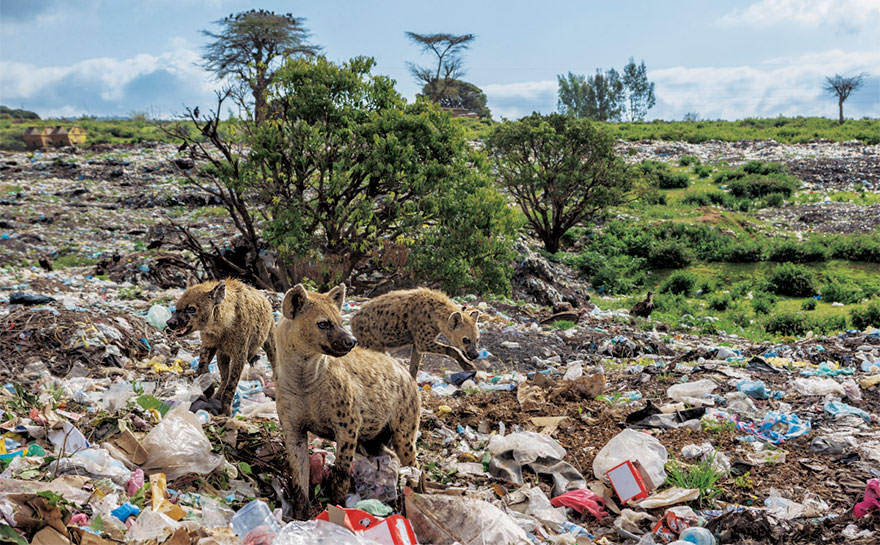 "Biz Ne Yaptık" Diyeceğiniz 20 Plastik Atık Fotoğrafı