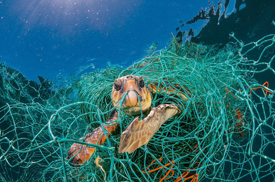 "Biz Ne Yaptık" Diyeceğiniz 20 Plastik Atık Fotoğrafı