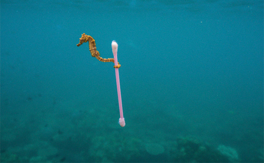 "Biz Ne Yaptık" Diyeceğiniz 20 Plastik Atık Fotoğrafı