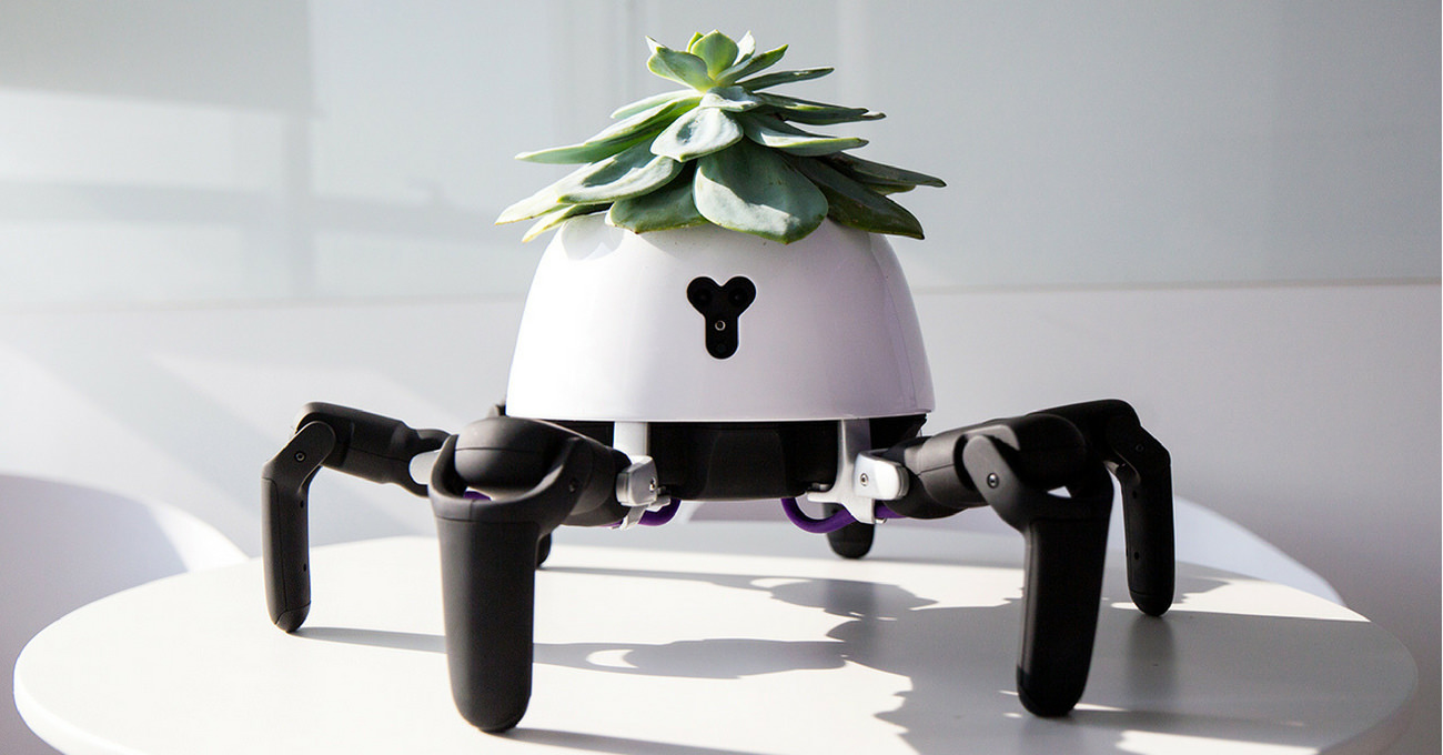 Çiçeği İçin Güneşi Kovalayan Robot Saksı
