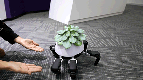 Çiçeği İçin Güneşi Kovalayan Robot Saksı