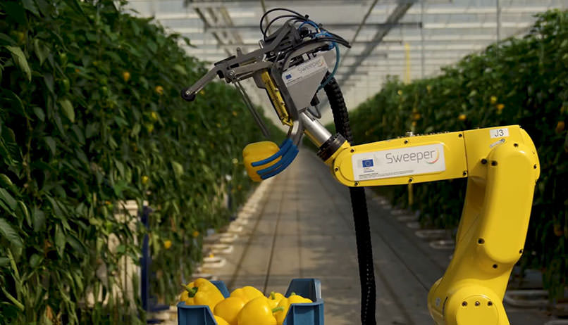 Tarım İşçisi Robot "Sweeper"