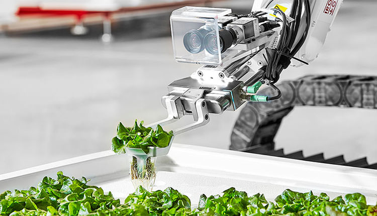 Bu Robotlar yüzde 90'lık su tasarrufu ile çiftlik yönetiyor