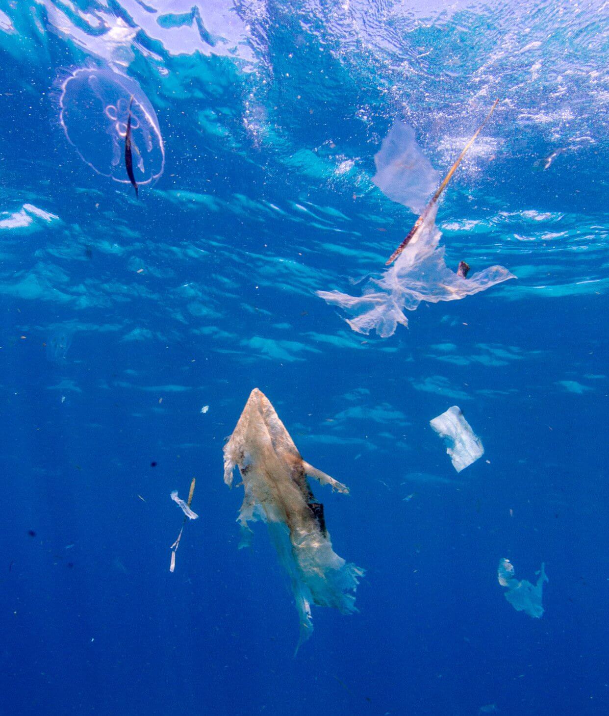 Karayipler'de "plastik denizi" keşfedildi!