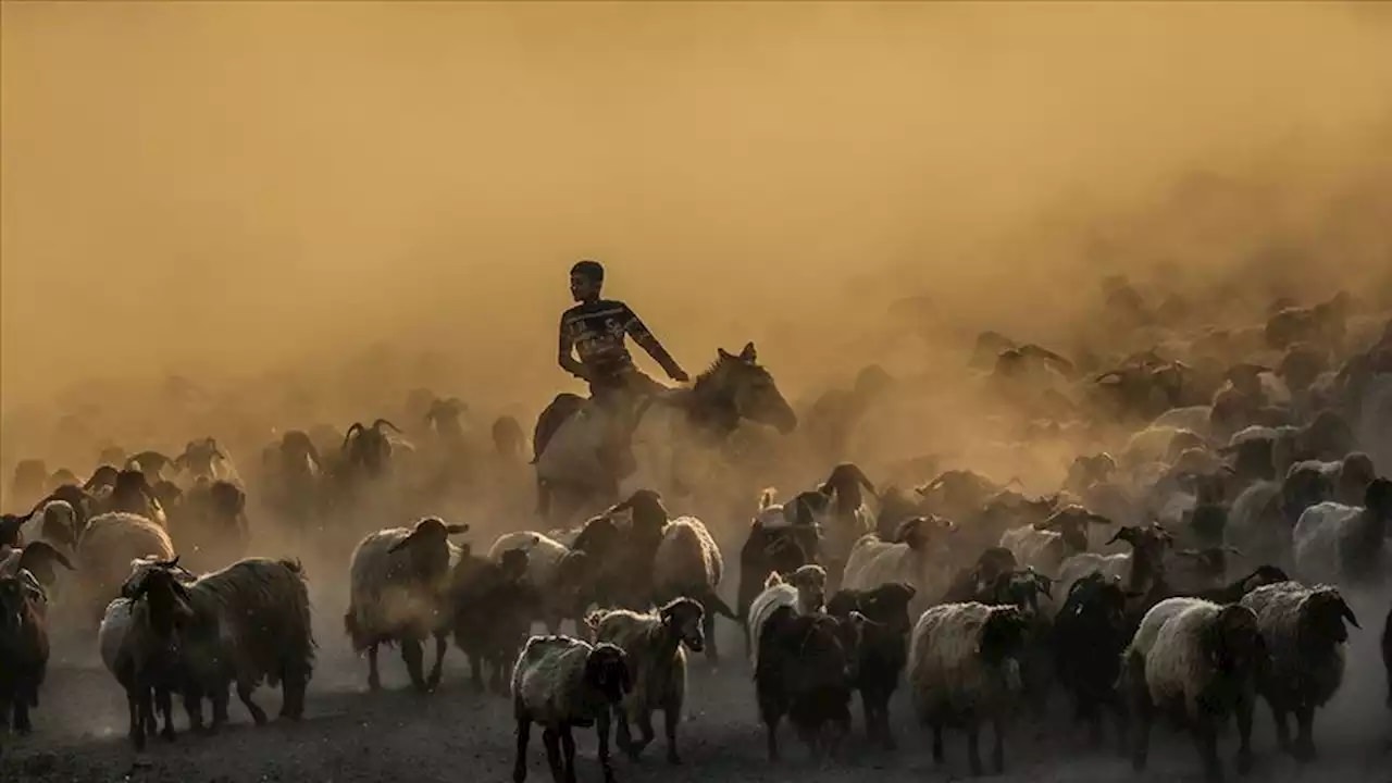 Daha Az Seçilen Yol: Bir Değerlendirme