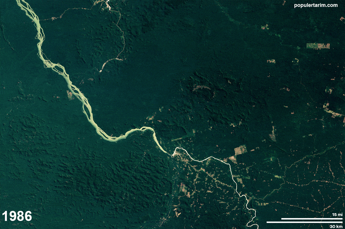 Amazon ormanları bir sonraki koronavirüs kaynağı olabilir mi?