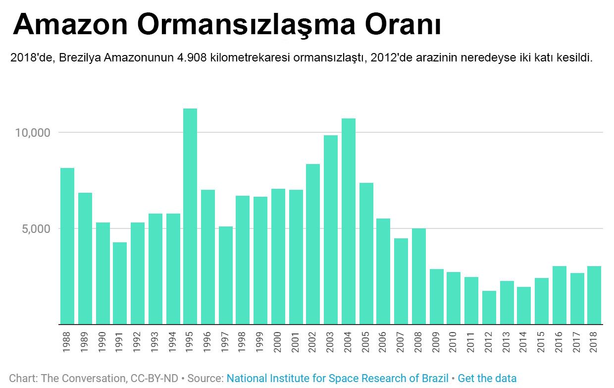 Amazon ormanları bir sonraki koronavirüs kaynağı olabilir mi?