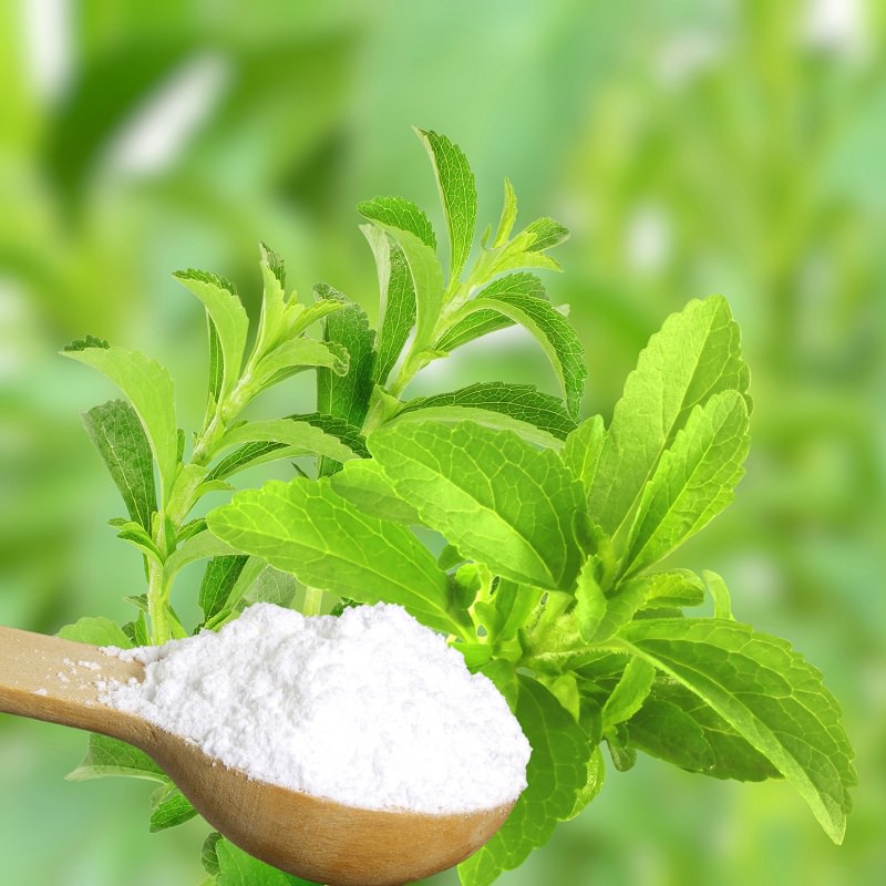 Stevia bitkisi şekerin yerine geçebilir mi?