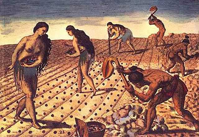 Tarım, bizim için hediye mi yoksa felaket mi?