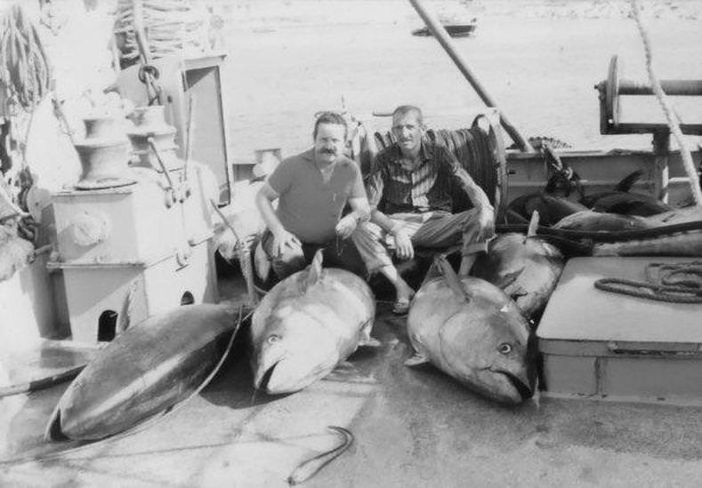 Popular fish species of Marmara and Black Sea are disappearing