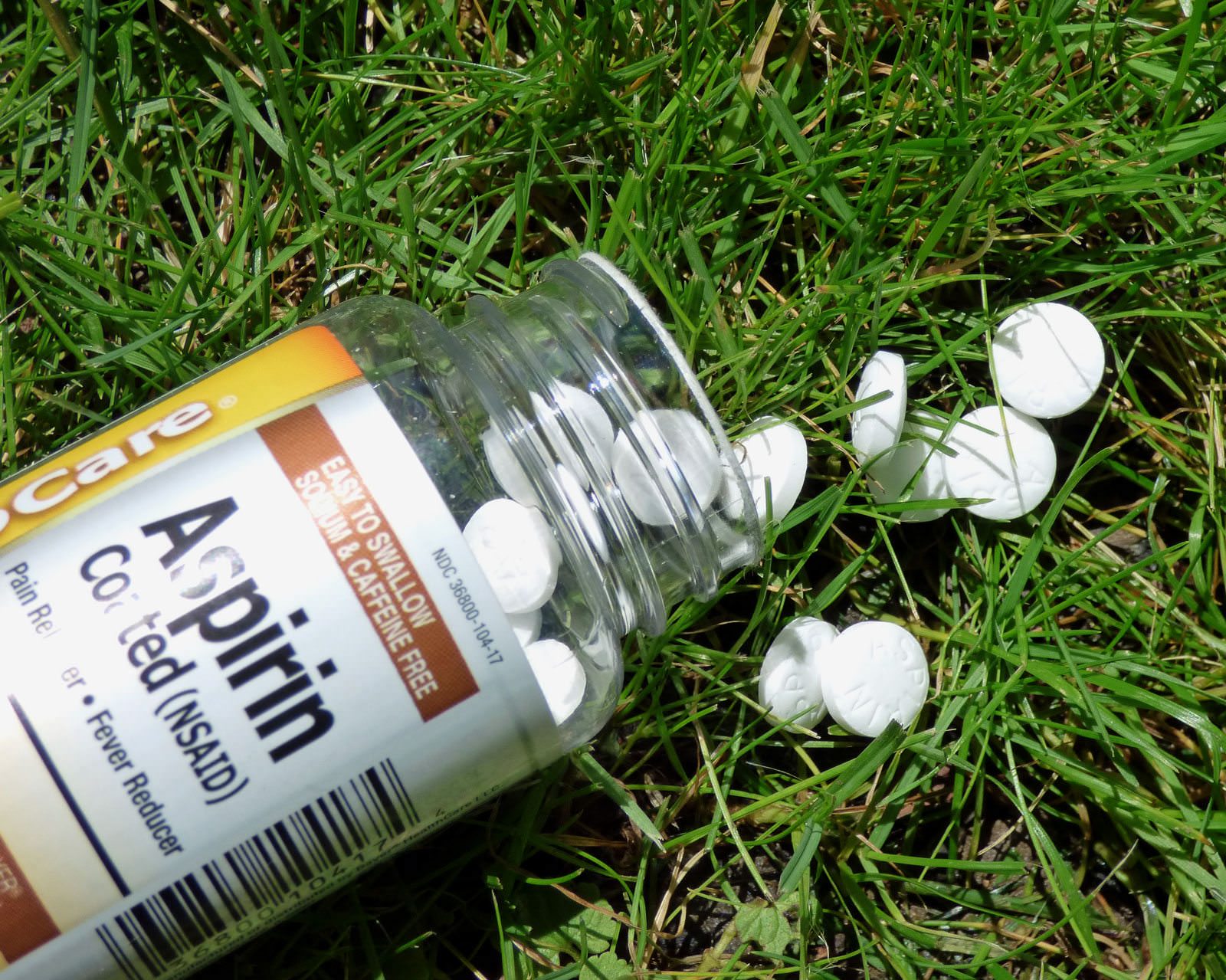 Aspirinin bitki üzerinde etkileri