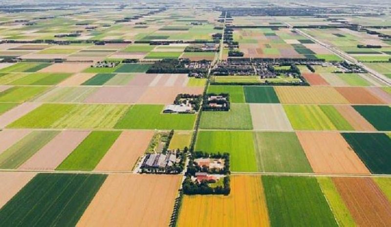 Önümüzdeki 50 yılda tarım nasıl değişecek?