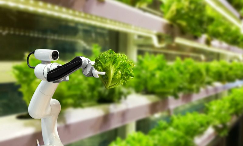 2021 ve sonrası için çığır açan 8 tarım teknolojisi