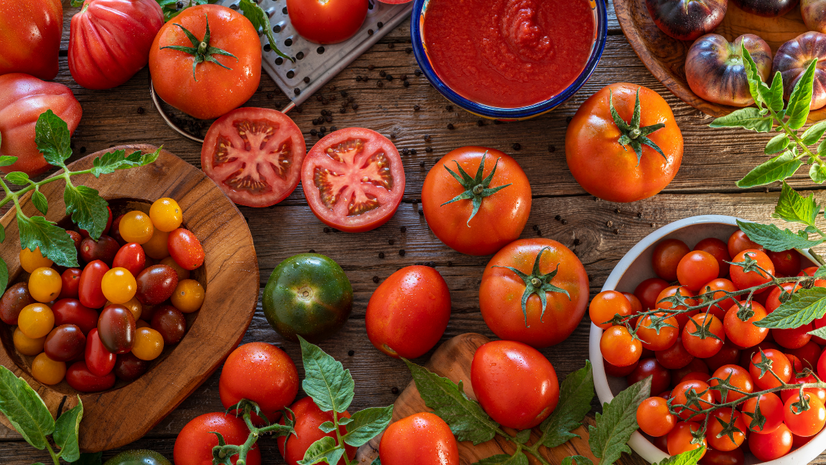 Genetiği Değiştirilmiş Domatesler D Vitamini Deposuna Dönüştürüldü